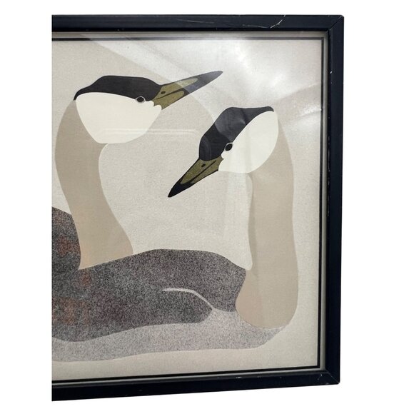 W Morgan 1982 Signed Bird Print Pair of Ducks / Waterfowl Framed Vintage Artwork - Picture 4 of 5